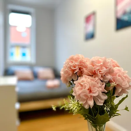 Mmrent Pink
